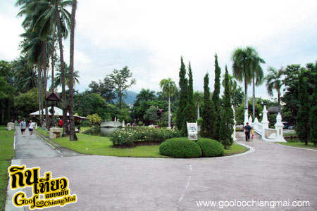 สวนสาธารณะหนองบวกหาดเชียงใหม่ Chiangmai City Public Park Thailand