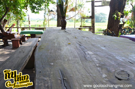 The Log of Paradis Chiangmai