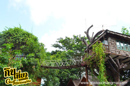 The Log of Paradis Chiangmai