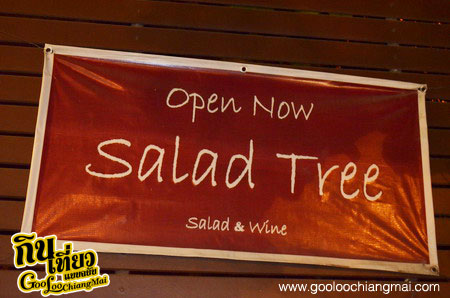 ร้าน สลัดทรี เชียงใหม่ Salad Tree Chiangmai