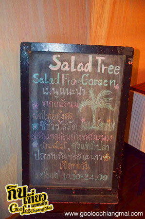 ร้าน สลัดทรี เชียงใหม่ Salad Tree Chiangmai