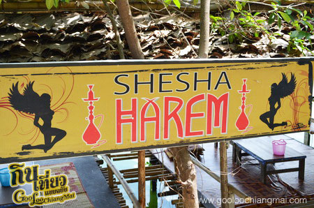 ร้านชีช่า ฮาเร็ม shesha harem