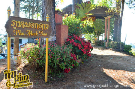 ภูหมอกดาวรีสอร์ท PhuMorkDao Resort