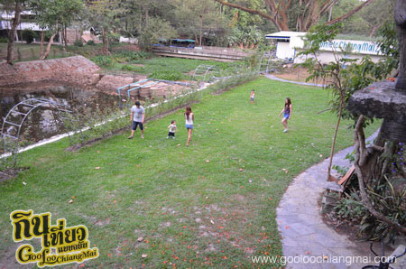 ร้าน The Zoo food & beverage เดอะซู ฟู้ดแอนด์เบเวอร์เรจ