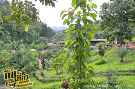บ้านสวน มาลีบู เชียงใหม่
