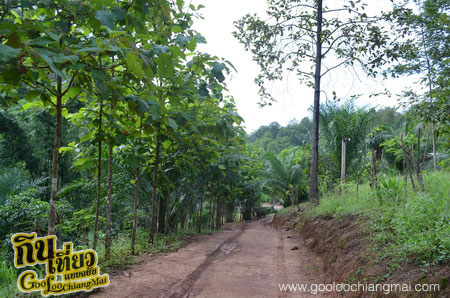 บ้านสวน มาลีบู เชียงใหม่