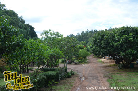 บ้านสวน มาลีบู เชียงใหม่