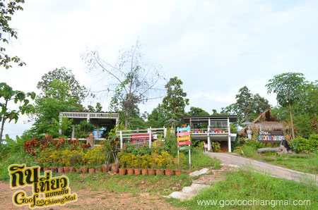 บ้าน ดาวกลางดอย Ban DawKlangDoi