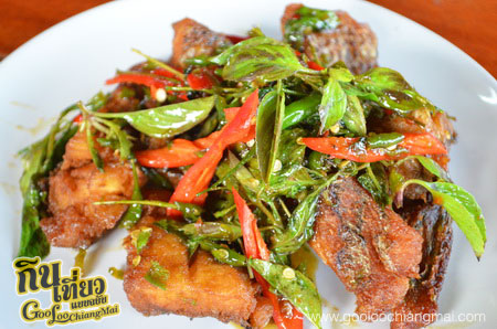 บ้าน ดาวกลางดอย Ban DawKlangDoi