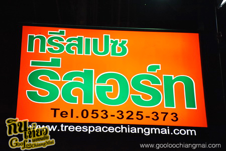 Tree Space Chiang Mai