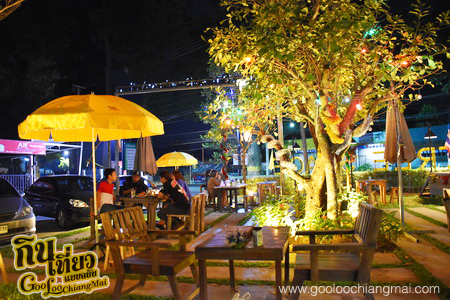 Tree Space Chiang Mai