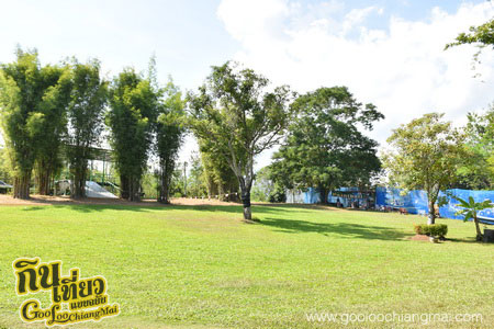 X Centre Chiangmai Thailand Extreme Sport