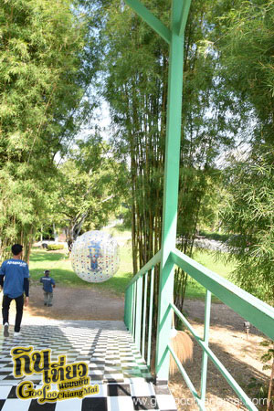 X Centre Chiangmai Thailand Extreme Sport