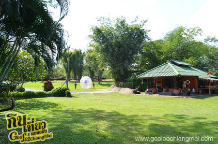 X Centre Chiangmai Thailand Extreme Sport