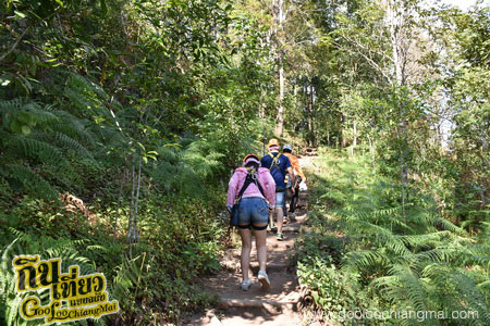 สกายไลน์แอดเวนเจอร์ Skyline Adventure