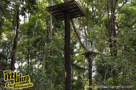 สกายไลน์แอดเวนเจอร์ Skyline Adventure