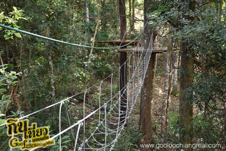 สกายไลน์แอดเวนเจอร์ Skyline Adventure