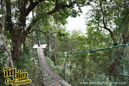 สกายไลน์แอดเวนเจอร์ Skyline Adventure