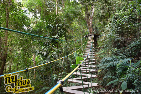 สกายไลน์แอดเวนเจอร์ Skyline Adventure