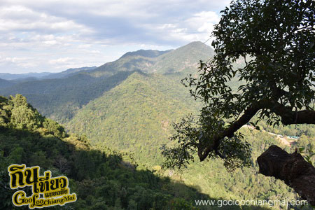สกายไลน์แอดเวนเจอร์ Skyline Adventure