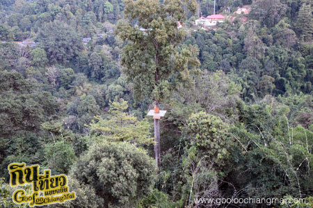 สกายไลน์แอดเวนเจอร์ Skyline Adventure