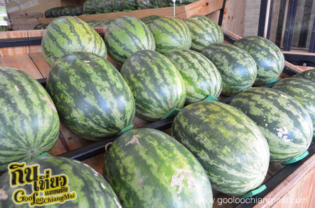 ร้าน แตงโมไร้เมล็ด Fresh & Tasty Station 89