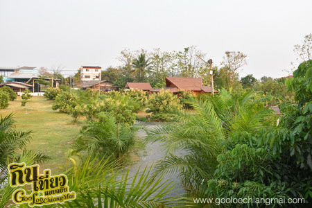 ร้าน โฮงนา คาเฟ่