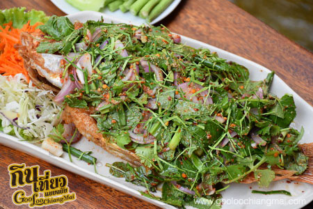 ร้าน โฮงนา คาเฟ่