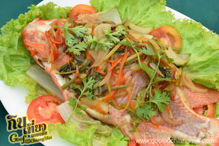 เรือนแพริมธาร เขื่อนแม่งัด