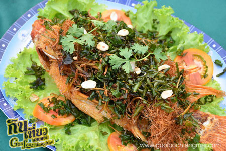 เรือนแพริมธาร เขื่อนแม่งัด