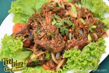 เรือนแพริมธาร เขื่อนแม่งัด