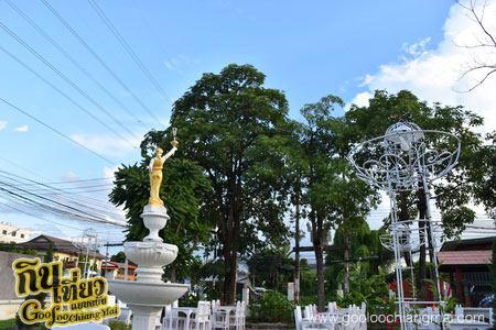 ร้าน Zaap See You