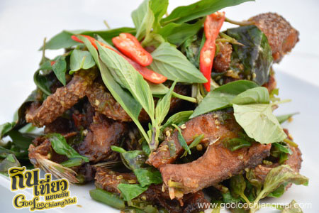 ร้าน Zaap See You