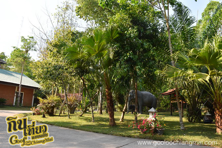 มาริษารีสอร์ท แอนด์ สปา เชียงดาว Marisa Resort & Spa