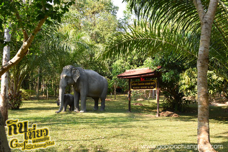 มาริษารีสอร์ท แอนด์ สปา เชียงดาว Marisa Resort & Spa