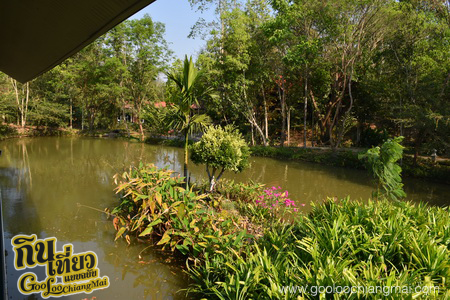 มาริษารีสอร์ท แอนด์ สปา เชียงดาว Marisa Resort & Spa