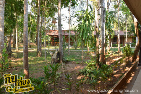 มาริษารีสอร์ท แอนด์ สปา เชียงดาว Marisa Resort & Spa
