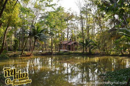 มาริษารีสอร์ท แอนด์ สปา เชียงดาว Marisa Resort & Spa