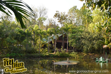 มาริษารีสอร์ท แอนด์ สปา เชียงดาว Marisa Resort & Spa