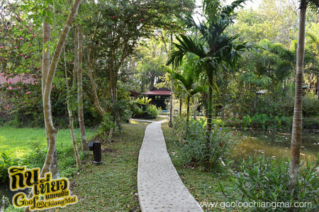 มาริษารีสอร์ท แอนด์ สปา เชียงดาว Marisa Resort & Spa