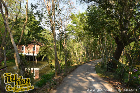 มาริษารีสอร์ท แอนด์ สปา เชียงดาว Marisa Resort & Spa