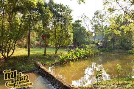 มาริษารีสอร์ท แอนด์ สปา เชียงดาว Marisa Resort & Spa
