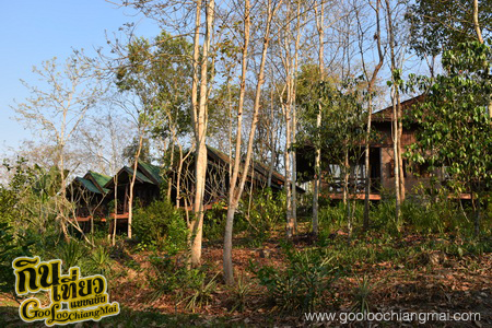 มาริษารีสอร์ท แอนด์ สปา เชียงดาว Marisa Resort & Spa