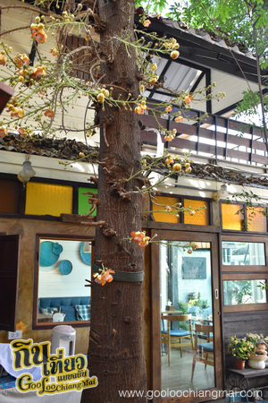 ร้าน อาหารยะหริ่ง เชียงใหม่ Yaring Cuisine حلال