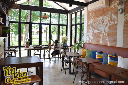 ร้าน Munchies Café