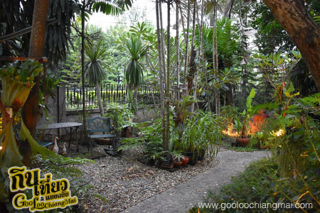 ร้าน บ้านต้นสน อาหารโบราณ ตำนานแม่