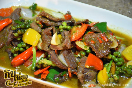 ร้าน แรด ChiangMai