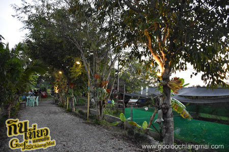 ร้าน บ้านนายามเย็น ดอยสะเก็ดเชียงใหม่