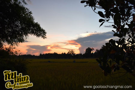 ร้าน บ้านนายามเย็น ดอยสะเก็ดเชียงใหม่