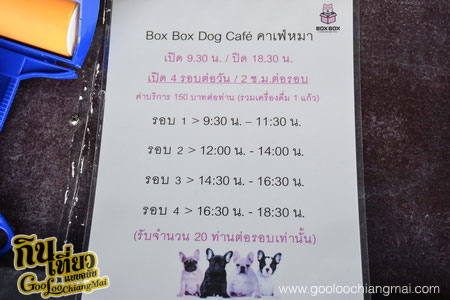 ร้าน Box Box Dog Cafe คาเฟ่น้องหมา เชียงใหม่